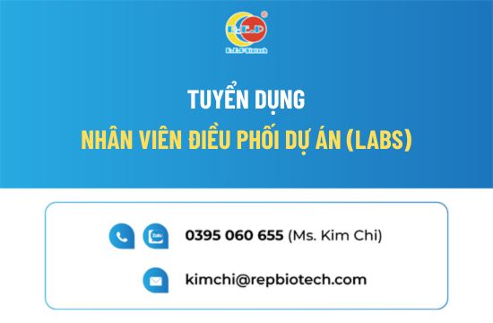 NHÂN VIÊN ĐIỀU PHỐI DỰ ÁN