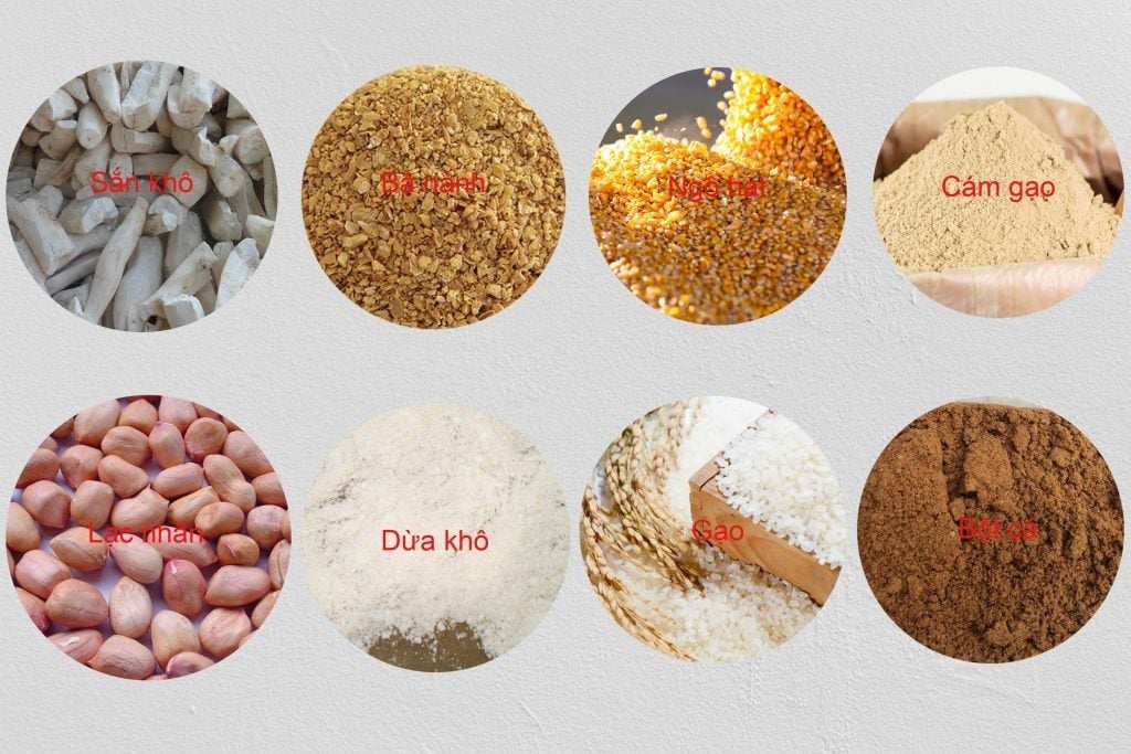 Thức ăn thô cho Heo Thịt
