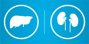 Detoxifies the liver and kidneys